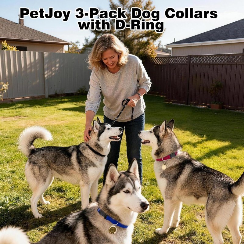 Dog Shock Collar Replacement S - D Ring Strap reseña y precio