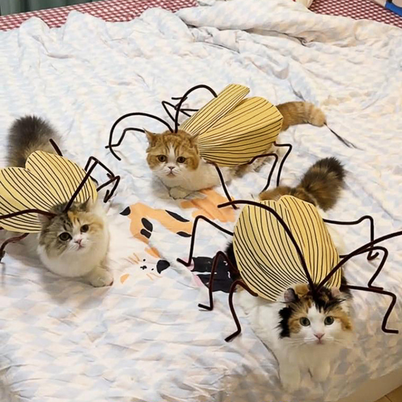 Funny Cockroach Cosplay Cat Co - Cosplay Prop Kit reseña y precio