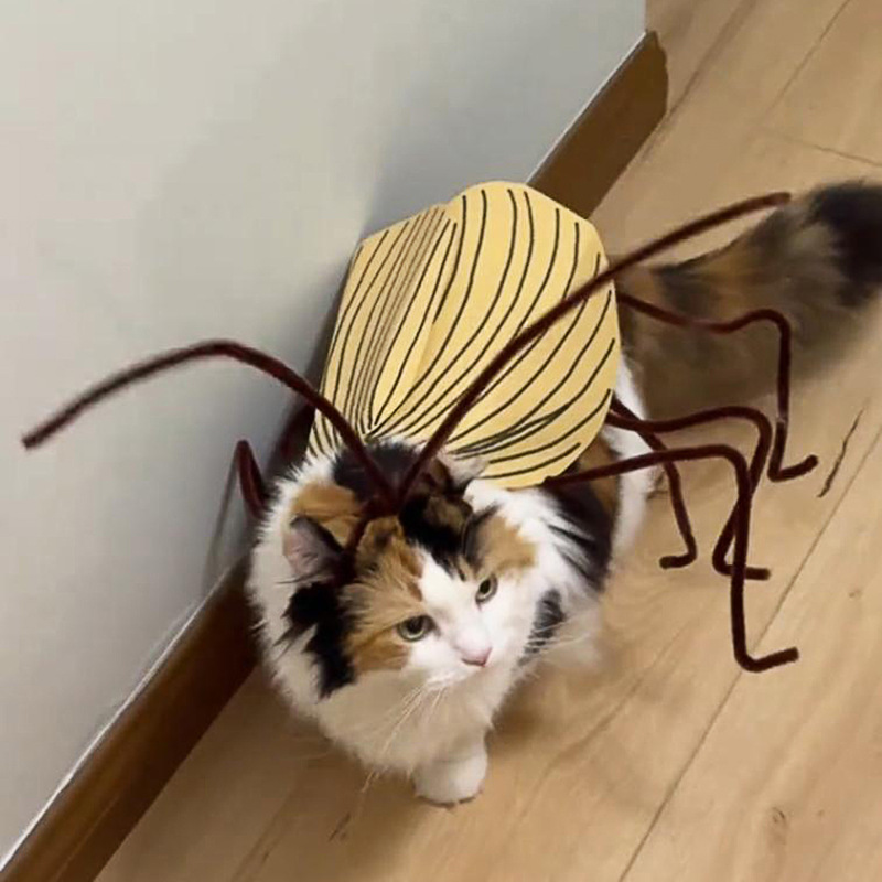 Funny Cockroach Cosplay Cat Co - Cosplay Prop Kit reseña y precio