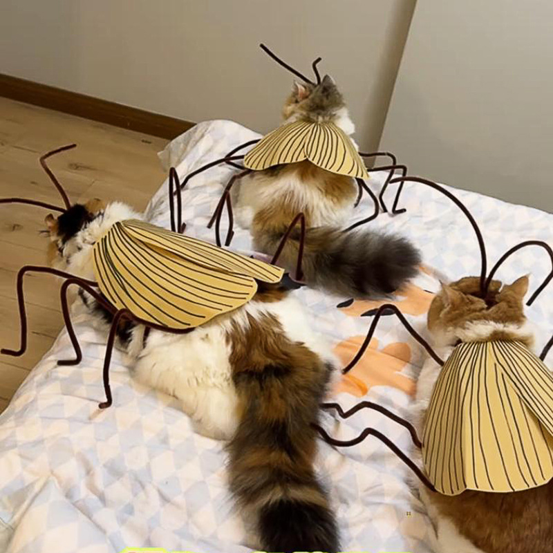 Funny Cockroach Cosplay Cat Co - Cosplay Prop Kit reseña y precio